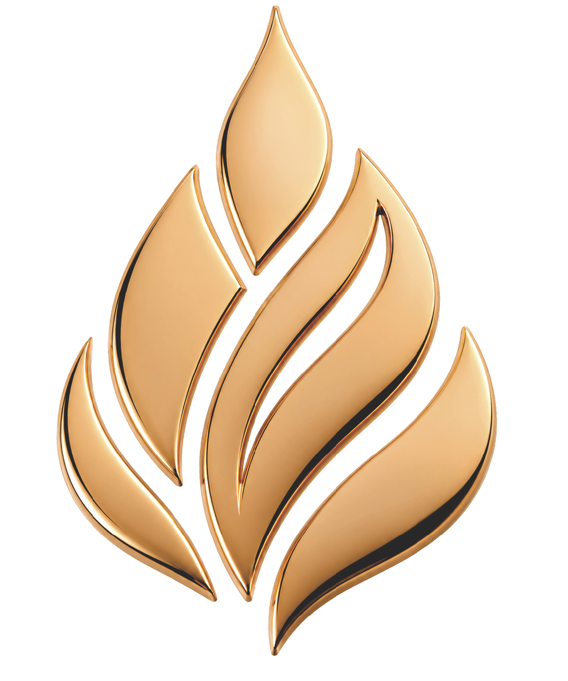 Carregando